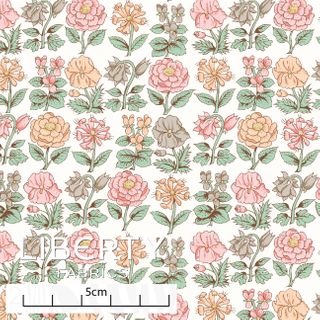 ARCHIVE DAYDREAM DAVALIA FLOWERS A