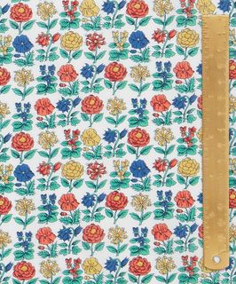 ARCHIVE DAYDREAM DAVALIA FLOWERS D