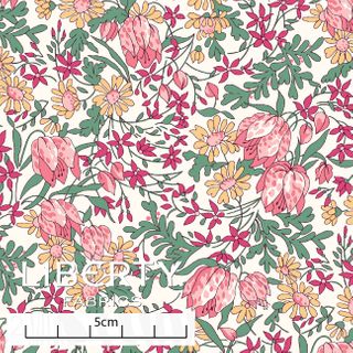 ARCHIVE DAYDREAM FRANCESCA TULIP A