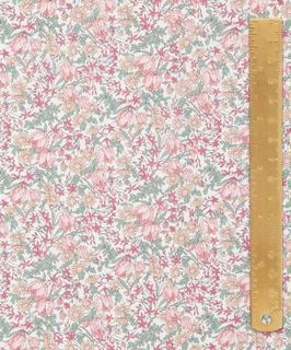 ARCHIVE DAYDREAM FRANCESCA TULIP A