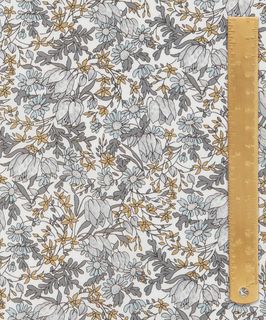 ARCHIVE DAYDREAM FRANCESCA TULIP D
