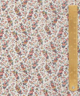 ARCHIVE DAYDREAM CHRISTABEL ROSE A