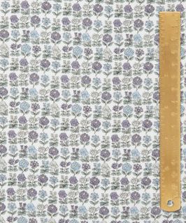 ARCHIVE DAYDREAM DAVALIA FLOWERS C