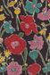 TANA LAWN AW25 LOUIES MEADOW A