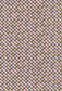 TANA LAWN AW25 LUCA LOVATT B