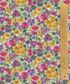 TANA LAWN AW25 SANDRA SPRING B