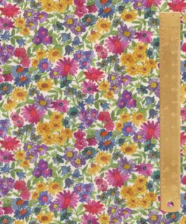 TANA LAWN AW25 SANDRA SPRING B