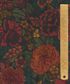 TANA LAWN AW25 HERITAGE GARDEN C