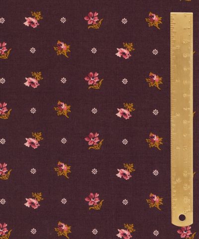 TANA LAWN AW25 CLIO C