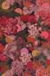 TANA LAWN AW25 MYRTLE & MARY C