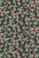 TANA LAWN AW25 LAITH C