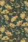TANA LAWN AW25 CLEMENTINA DAISY B