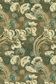 TANA LAWN AW25 HERA HANA C