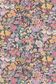TANA LAWN AW25 COTTAGE GARDEN C