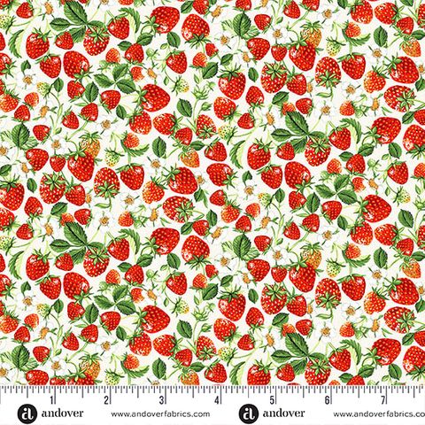 COUNTRYSIDE CLASSICS