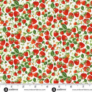 COUNTRYSIDE CLASSICS