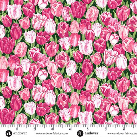 COUNTRYSIDE CLASSICS