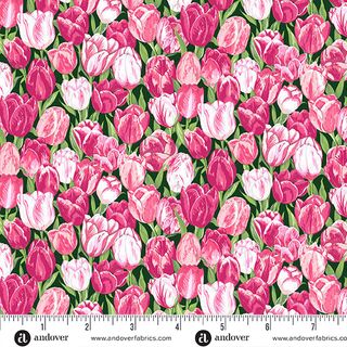 COUNTRYSIDE CLASSICS