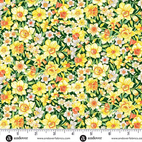 COUNTRYSIDE CLASSICS