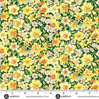 COUNTRYSIDE CLASSICS