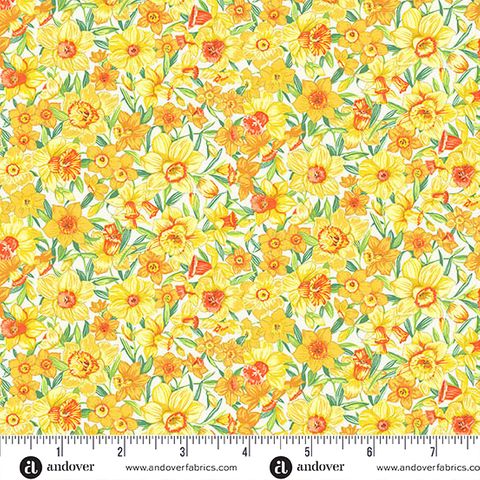 COUNTRYSIDE CLASSICS