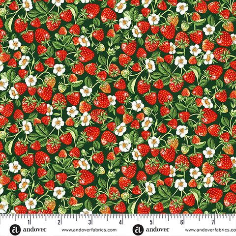 COUNTRYSIDE CLASSICS