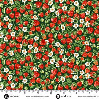 COUNTRYSIDE CLASSICS