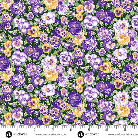 COUNTRYSIDE CLASSICS