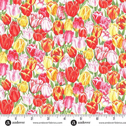 COUNTRYSIDE CLASSICS