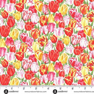 COUNTRYSIDE CLASSICS