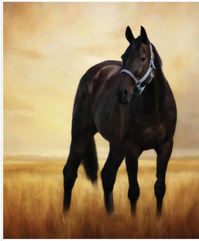 HORSESHOE CREEK 35 1/2" X 43 1/2" HORSE IN THE MEA