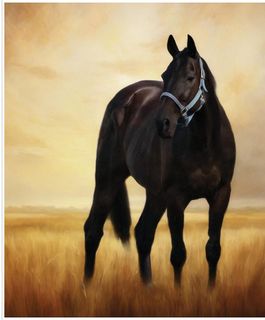 HORSESHOE CREEK 35 1/2" X 43 1/2" HORSE IN THE MEA