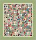 FAMILY REUNION GATHERING WILDFLOWERS QUILT KIT