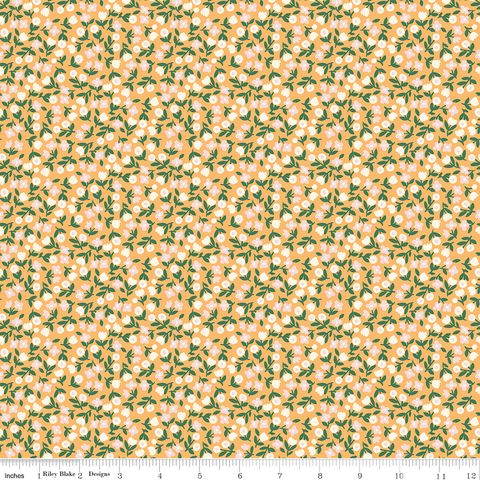 COUNTRYSIDE DREAMS SUNNY MEADOW MARIGOLD