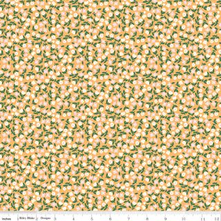 COUNTRYSIDE DREAMS SUNNY MEADOW MARIGOLD