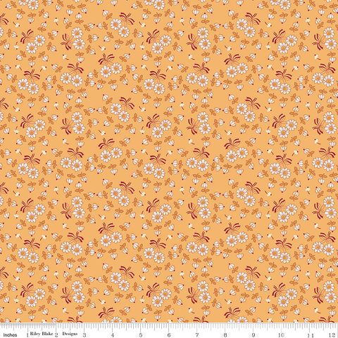 FAMILY REUNION TOGETHER DAISY