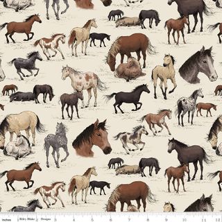 HORSESHOE CREEK MAIN LINEN