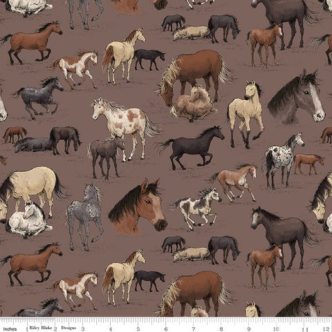 HORSESHOE CREEK MAIN LIGHT RAISIN