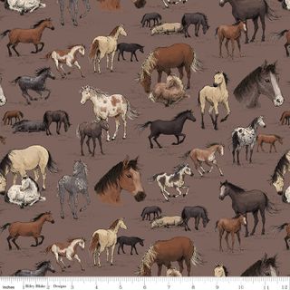 HORSESHOE CREEK MAIN LIGHT RAISIN