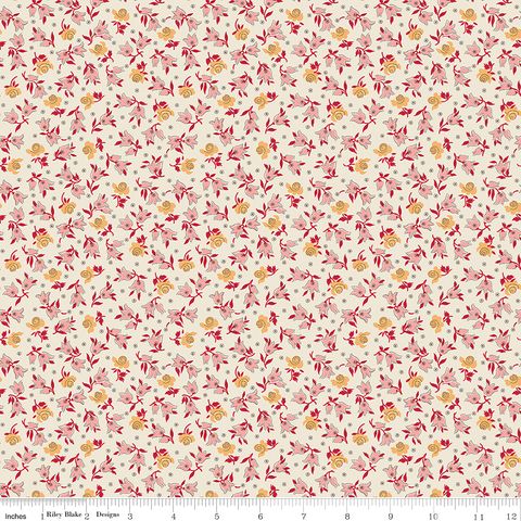 FAMILY REUNION MEMORIES SCHOOLHOUSE