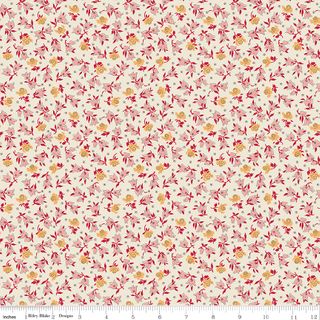 FAMILY REUNION MEMORIES SCHOOLHOUSE