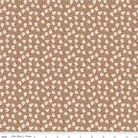 FAMILY REUNION STORIES BROWN SUGAR