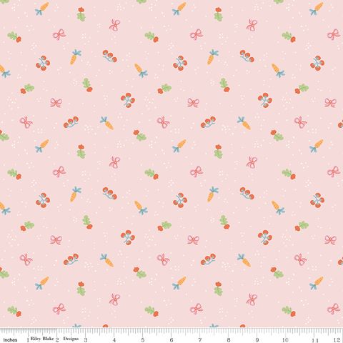 COUNTRYSIDE DREAMS ALLOTMENT PINK DOGWOOD