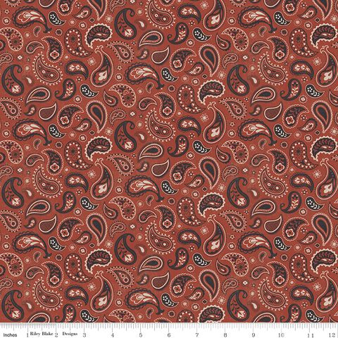 HORSESHOE CREEK PAISLEY TERRACOTTA