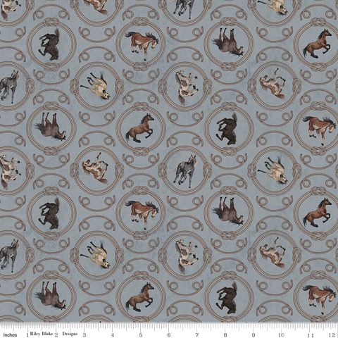 HORSESHOE CREEK ROPES GRAY