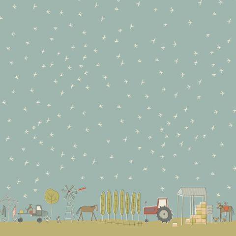 APPLEBY FARM BORDER BIRDS