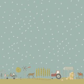 APPLEBY FARM BORDER BIRDS