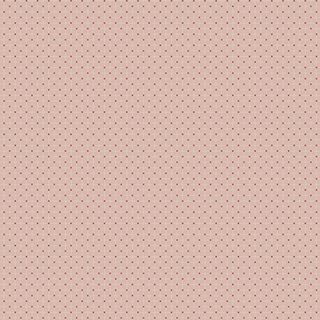 LE PETIT BONHEUR CLAIRE 1