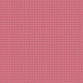 LE PETIT BONHEUR OTTILIE 2