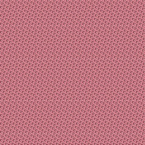 LE PETIT BONHEUR COCO 1